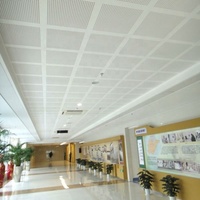 Plaque de plâtre perforée insonorisante, panneau acoustique décoratif en plâtre, faux plafond en plâtre, World Supply