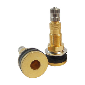 Válvula de neumático sin cámara para líquidos, neumática, Tr618a, para vehículos de ingeniería y agrícolas, modelo 618a, color Al550887736245 - Product Image 1