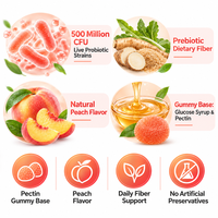 Gummies Probiotiques et Prébiotiques OEM Saveur Pêche – Complément Alimentaire Quotidien en Fibres – Marque Privée, Formule Personnalisée, Vente en Gros Usine