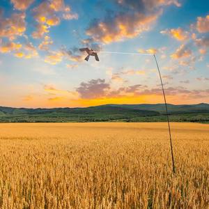 Nuevo y Económico Comba de Aves de Simulación Tipo Águila para Ahuyentar Aves, Comba de Safari y Comba Agrícola - Product Image 3