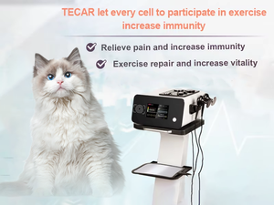 Portátil Smart Indiba 448kHz 3 en 1 Ret Cet Tecar Vet Fisioterapia Alivio del dolor RF Equipo Tecar Máquina de fisioterapia - Product Image 2