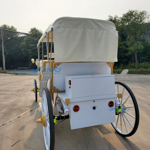Carroza de Caballos para Bodas Estilo Victoriano 2025, Paseo Turístico por el Parque, Transporte Especial para Turistas - Product Image 3