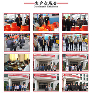 Essieux d'entraînement planétaires Carraro, 28.32m 28.43m, 28.48m Dana 111 112 212 213 pour compacteur de sol/chargeuse-pelleteuse/chariot télescopique