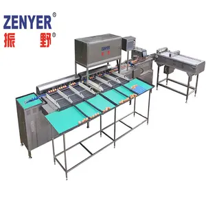 10000pcs/hour hot sale egg grader /egg processing equipment/chicken egg grading sorting machine