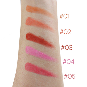 บลัชเชอร์แต่งหน้า5สี,อายชาโดว์พร้อมโลโก้ตามสั่ง - Product Image 6