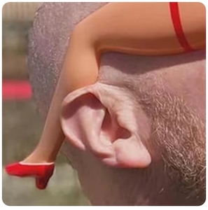 Lunettes de soleil fantaisie pour les jambes et les fesses, accessoires de fête d'Halloween, blague amusante, lunettes en forme de jambe, accessoires de fête en plastique - Product Image 3