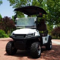 Accessoires de voiturette de golf de la meilleure qualité, voiturette de golf 2 places, véhicule électrique, buggy de golf à moteur puissant de 5kW, bon marché