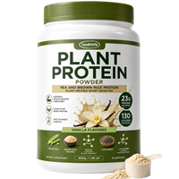 Poudre de protéines végétales Healthife OEM, mélange de protéines végétales à base de riz et de chia avec BCAA et L-glutamine