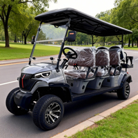 Carrito de golf eléctrico de 8 pasajeros con batería de litio, profesional, personalizado, todoterreno, para visitas turísticas en campos de golf.
