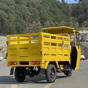 Preço de fábrica personalizado de alta qualidade três rodas adulto carga elétrica triciclo elétrico de longo alcance