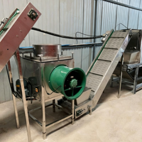 Éplucheuse d'ail automatique avec bande transporteuse réglable pour cuisine centrale / ligne de traitement d'ail commercial pour la restauration