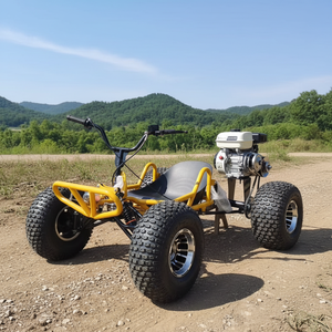 Kart de loisirs rapide et performant, facile à utiliser, avec pneus de 212 cm³ et 8/10 pouces, idéal pour les locations sur piste dans les lieux de divertissement. - Product Image 6