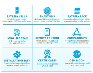 51.2V/<b>48V</b> 15-16KWh LiFePO4 Lithium <b>Battery</b> Hybrid Grid Solar Home Energy Storage System Wall-Mounted LPBH15300-LPBH16314 <b>48V</b> /51 - Product Image 4