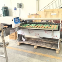 Automatische Eieren Sorteermachine 10000 Eieren/uur Kippeneieren Sorteermachine Graderings- en Verpakkingsmachine voor Pluimvee