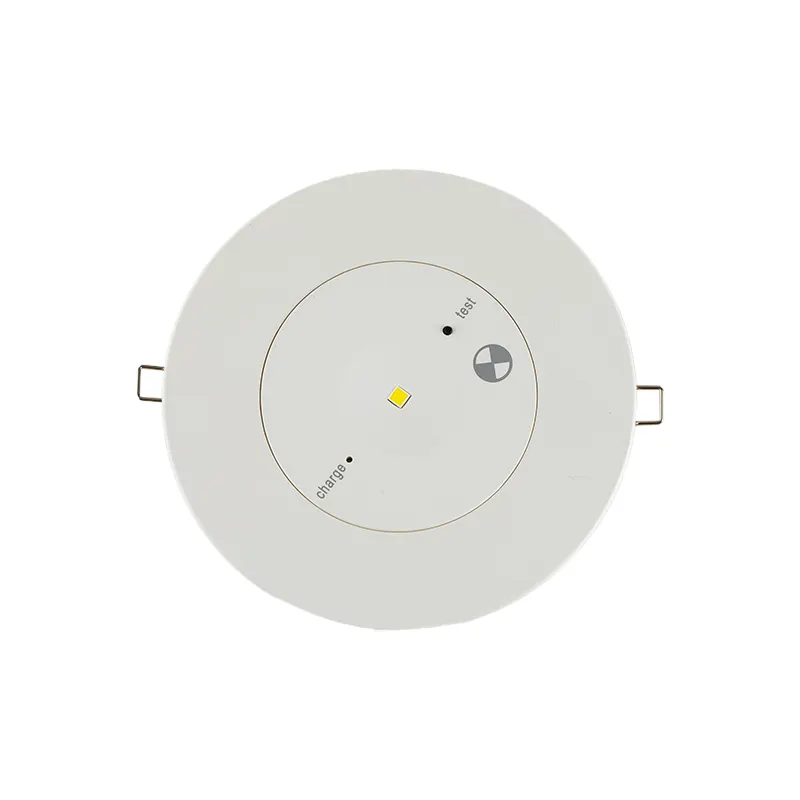 New Design ODM OEM LED 3W SMD LED Emergency Ceiling Light with Rechargeable Battery