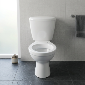 WC céramique Nano Irani deux pièces avec siphon en P, double chasse, déodorisant - Product Image 6
