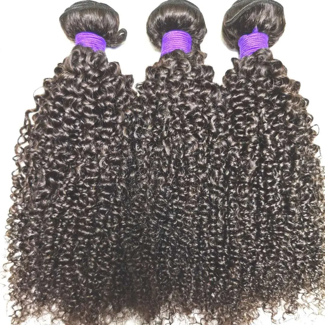 卸売Factory Direct Supply Hair 100% Human Hair変態Curly Cuticle Aligned Afro Kinky Human Hair