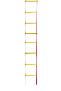 2024 phổ biến chất lượng cao bóng đá tốc độ phẳng nhanh nhẹn thang thể thao thang với nhiều mét nhanh nhẹn <span class=keywords><strong>rung</strong></span> - Product Image 2