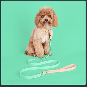 <span class=keywords><strong>Collar</strong></span> de perro de PVC ajustable de lujo personalizado conjunto de correa impermeable con impresión personalizada y cintas para pasear al perro - Product Image 6