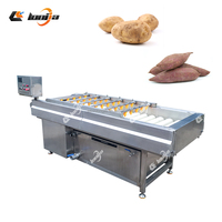 Sus 304 Fruit- en groentewas-, droog-, sorteer- en verpakkingslijn met gaaszakken, capaciteit 1000-5000 kg/uur