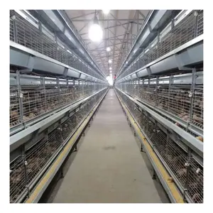 Cage galvanisée Offre Spéciale de ferme indonésienne couver les poules Poulailler Poulailler pour bébés poussins