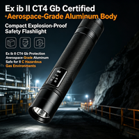 Lampe torche tactique anti-explosion ExibIICT4Gb 3W LED IP66 étanche rechargeable 18500 pour l'exploitation minière, la pétrochimie, logo personnalisé