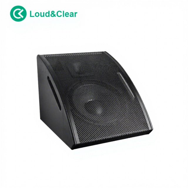 12 Inch 2-Way Active Speaker 500W RMS Professional Audio Full Range Speaker for Live Sound Stage Performance
