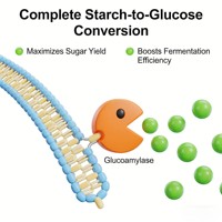 Glucoamylase de qualité supérieure pour la dégradation des amidons (Poudre 10 milliards UFC/g Certifiée ISO) – Optimise l'efficacité de la fermentation pour l'alcool