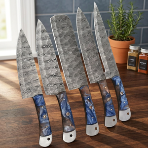 Ensemble de couteaux de chef en acier Damas de qualité industrielle, faits à la main, 5 pièces, manches en résine, service OEM, garantie 1 an pour usage quotidien - Product Image 2