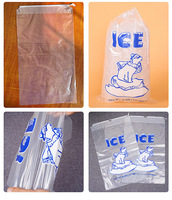 Sacs à glace jetables transparents en PE de qualité alimentaire avec cordon de serrage, tailles personnalisables, impression sérigraphique, vente en gros pour fabricants