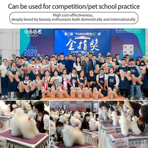 Modelo de Esqueleto Multifuncional para Tosa de Cães Teddy Poodle - Fácil de Usar, Ferramenta de Ensino Segura para Competições de Beleza Animal - Product Image 6