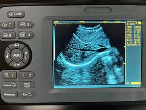 Échographe vétérinaire de poche, mini taille, échographe de grossesse, appareil d'échographie - Product Image 3