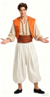 Costume de cosplay de prince arabe Aladdin pour adulte, tenue de prince du désert pour Halloween, carnaval, spectacle de conte de fées