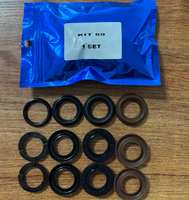 Vente directe usine Interpump WS201 250 bars Kit de joints d'étanchéité pour pompe à eau KIT69 KIT28 Kits de joints résistants à l'usure FKM 127 Kits en stock