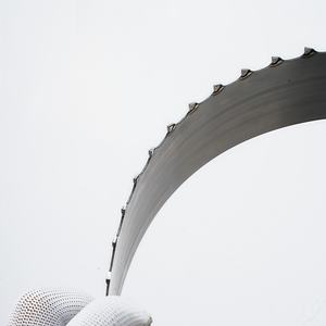 Hojas de Sierra de Cinta de Carburo de Alta Resistencia EJ de 1 x 131.5 Pulgadas para Roble, Arce y Nogal, Grado Industrial, Corte de Precisión, Compatible con Jet <span class=keywords><strong>Powermatic</strong></span>, Personalizado - Product Image 5