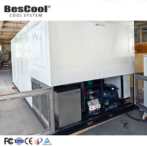 Mobile Blast Freezer -60 Degree Freezer <strong>Container</strong> 20ft Cold Storage Room For Fish Meat Frozen - Product Image 2