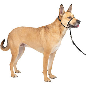 Muselière pour chien qui permet de boire, empêche de manger des objets indésirables et sert de dispositif anti-aboiement pour Golden Retrievers et Poodles - Product Image 2