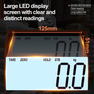 Báscula Digital para Grúa, Nuevo Diseño 2026, 500 kg/1 T, Pantalla LCD, OEM, Acero Inoxidable, Alta Precisión, 1 Año de Garantía - Product Image 4