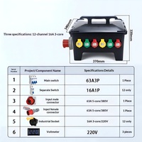 Caja de Distribución de Energía Industrial de 12 Vías y 16A, Entrada de 63A 3P, Carcasa de ABS, IP55 Resistente a la Intemperie, Doble Voltaje 220V/380V, Asa Integrada