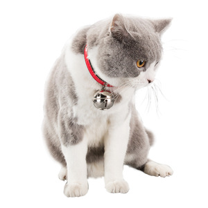 Pet <b>Collar</b> Adjustable For Small <b>Dogs</b> Cats With Bell Solid Color <b>Red</b> Black Brown Pink - Product Image 2