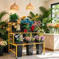 En stock, support de présentation minimaliste en métal doré pour fleuriste moderne, seau décoratif pour fleurs fraîches, support de présentation pour plantes