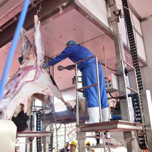 אספקת הבקר פרה חלאל הפוך מקרה סיבובי הרג תיבת טבח ציוד - Product Image 6