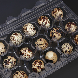 wholesale disposable PET/PVC Carton packing box Plastic blister quail egg packing box /quail egg tray for sale