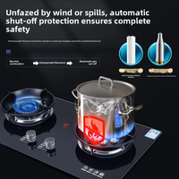 Cuisinière à gaz double brûleur en acier inoxydable, plaque de cuisson GPL haute puissance avec protection anti-extinction de flamme pour la cuisine domestique