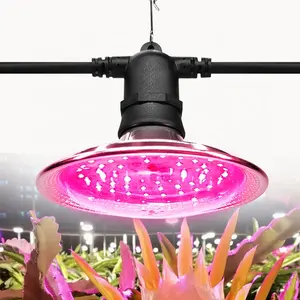 LED 램프 공장 빛 전체 스펙트럼 실내 식물 공장 터키 성장 조명