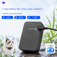 Traceur GPS 4G pour animaux de compagnie en gros, positionnement Beidou en temps réel, localisateur anti-perte rechargeable étanche IP67 pour chiens et chats
