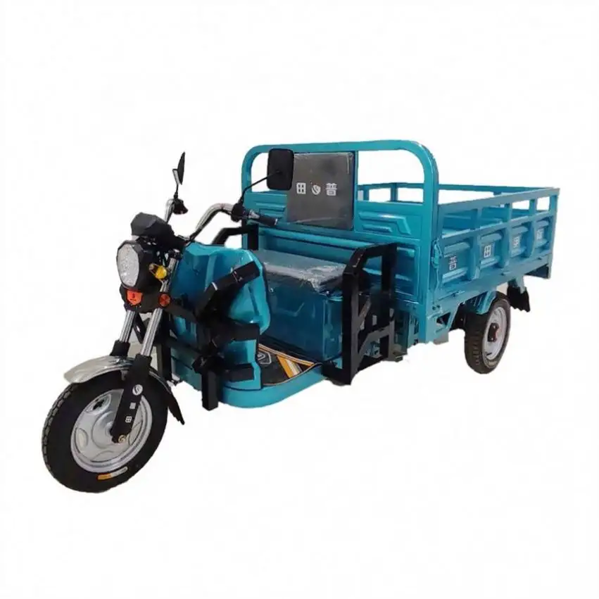 China Top Quality 600Kg Electric Takeaway Tricycle 2 Adults For Adult