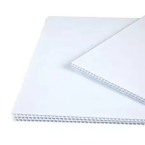 Supplier Printing Rigid Customized size hollow PP board plastic PP corrugated panel sheet