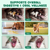 Oimmal 120g Compléments Alimentaires pour Animaux de Compagnie Charbon Actif Naturel de Qualité Alimentaire en Poudre pour Chiens et Chats Soutien Digestif Contre les Intoxications