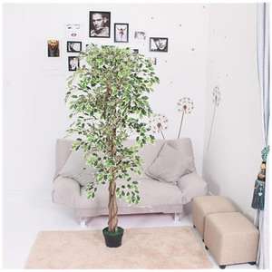 Arbre artificiel pour l'extérieur Simulation de rose pour mariage Maison en vrac Eco Friendly Oem/Odm Bas <span class=keywords><strong>prix</strong></span> Olive Big Fake Flower - Product Image 2